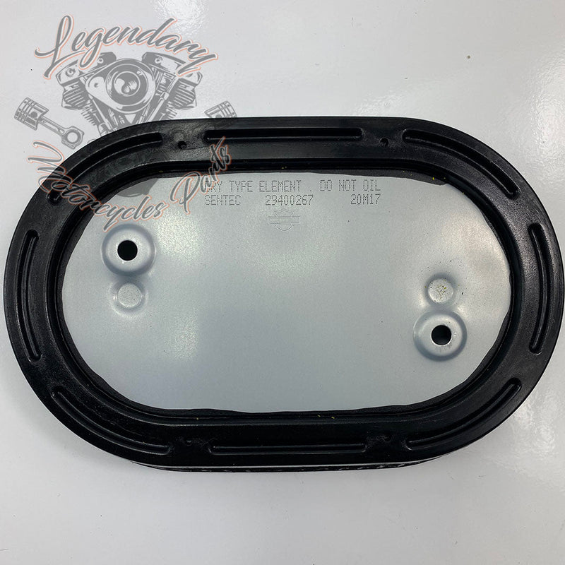Filtr powietrza OEM 29000148