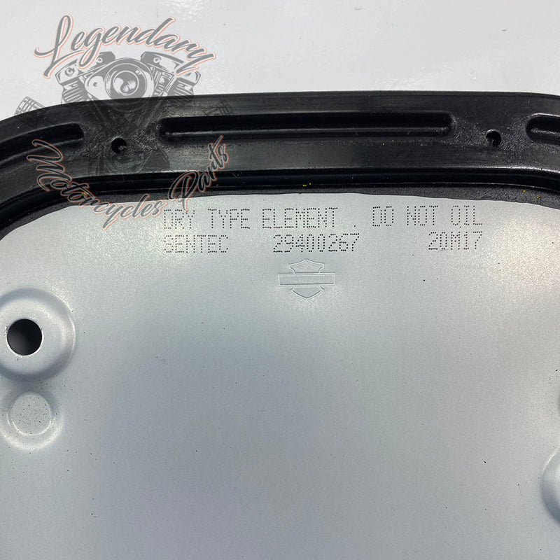 Filtr powietrza OEM 29000148