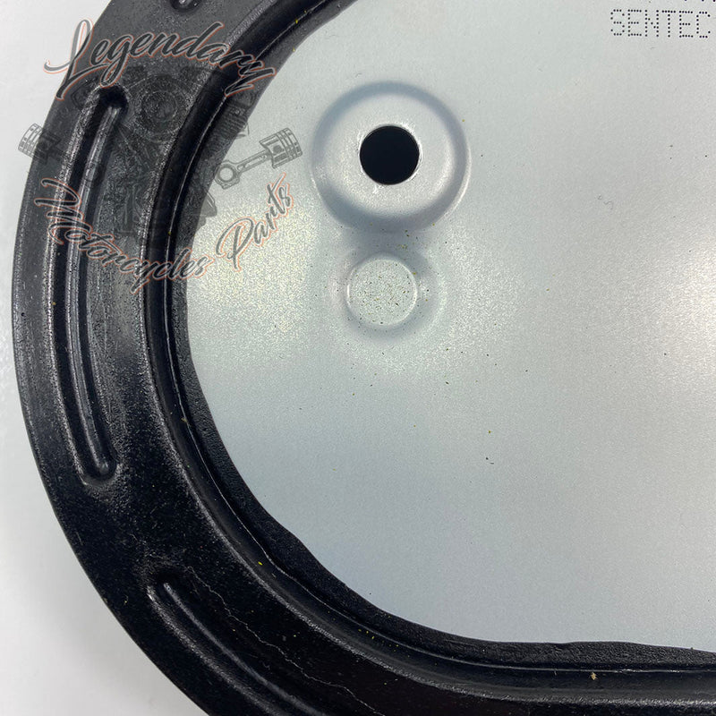 Filtr powietrza OEM 29000148