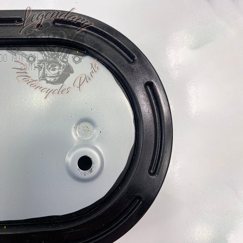 Filtr powietrza OEM 29000148