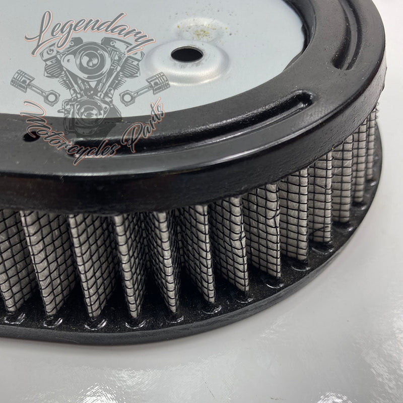 Filtr powietrza OEM 29000148