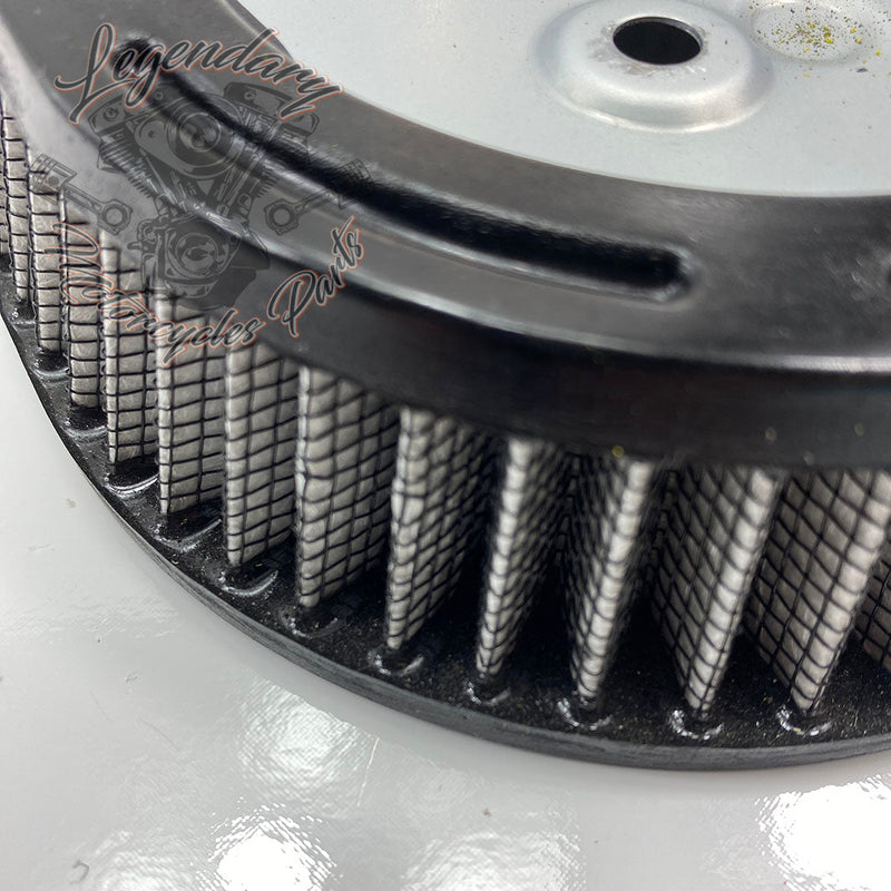 Filtr powietrza OEM 29000148