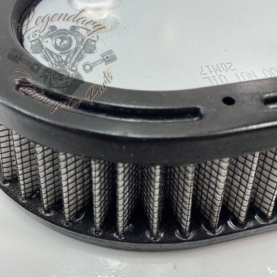 Filtr powietrza OEM 29000148