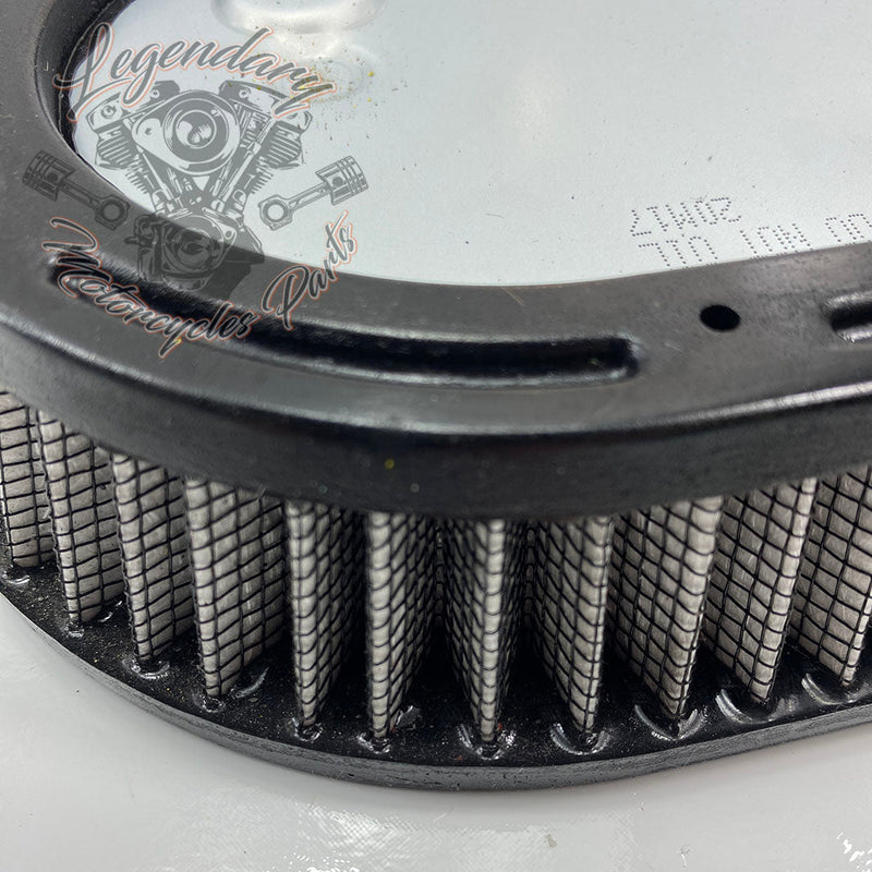 Filtr powietrza OEM 29000148
