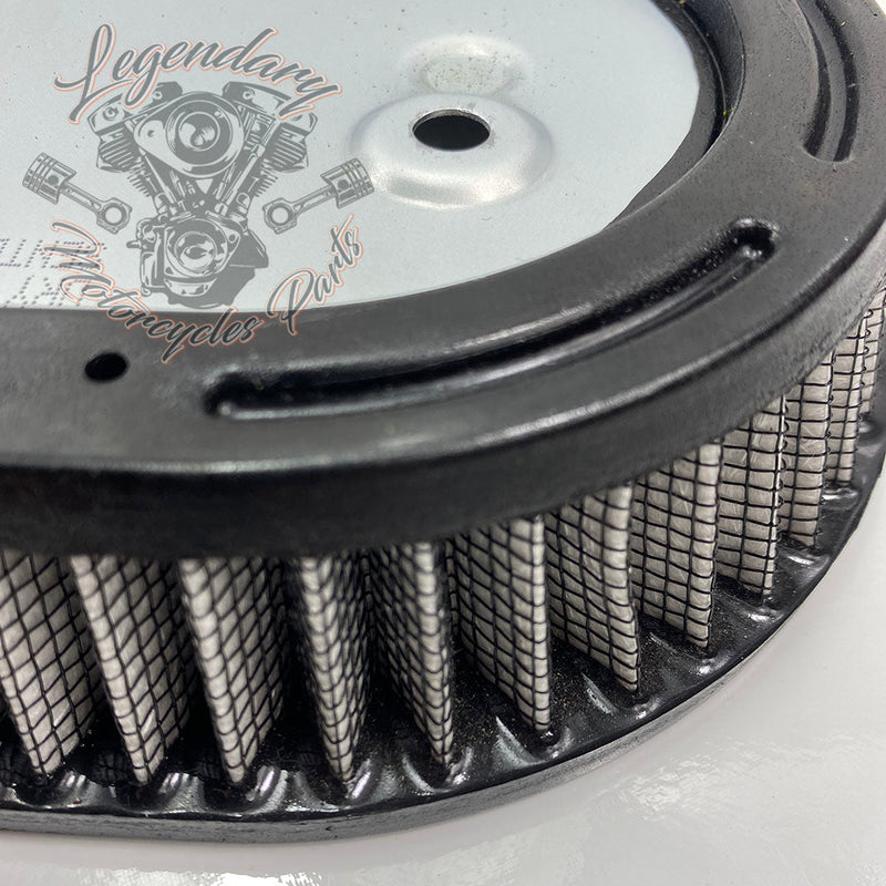Filtr powietrza OEM 29000148