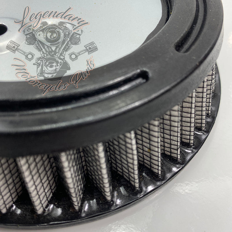 Filtr powietrza OEM 29000148