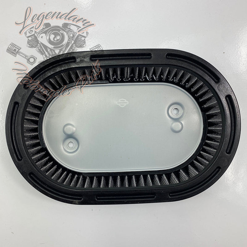 Filtr powietrza OEM 29000148