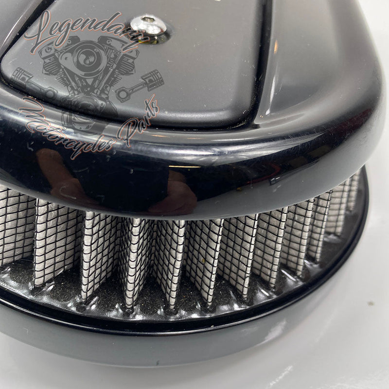 Filtr powietrza OEM 29000148