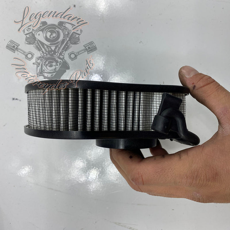 OEM Air Filter 29400154