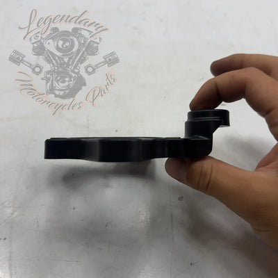 Piastra di supporto filtro aria OEM 29000226