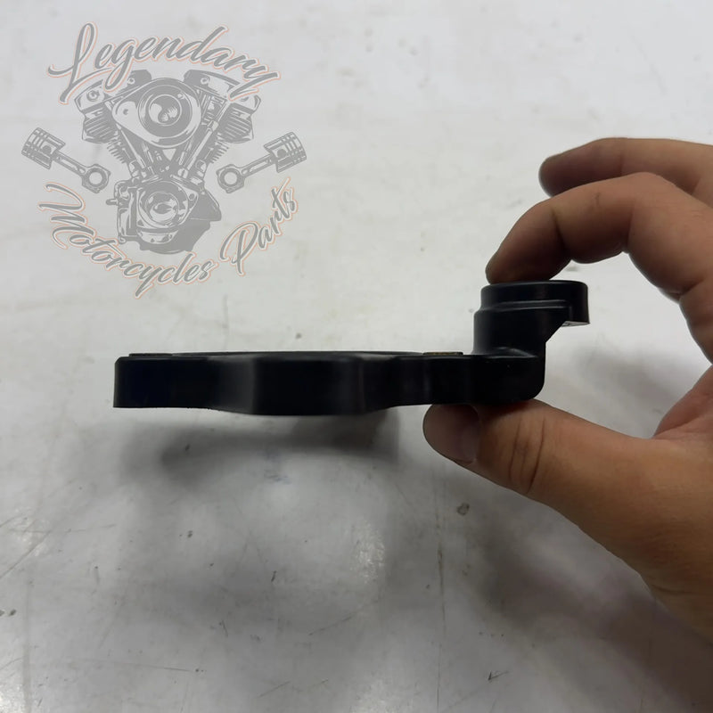 Piastra di supporto filtro aria OEM 29000226