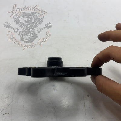 Piastra di supporto filtro aria OEM 29000226