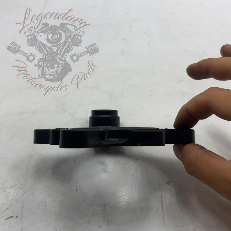 Piastra di supporto filtro aria OEM 29000226
