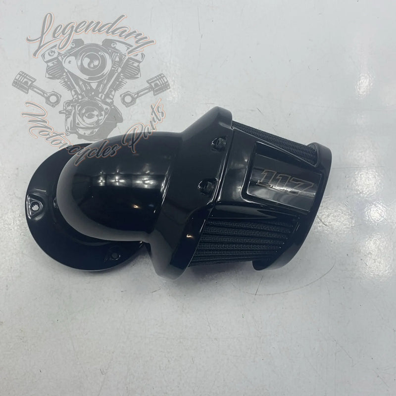 Filtro de aire corneta 177 OEM 29000330