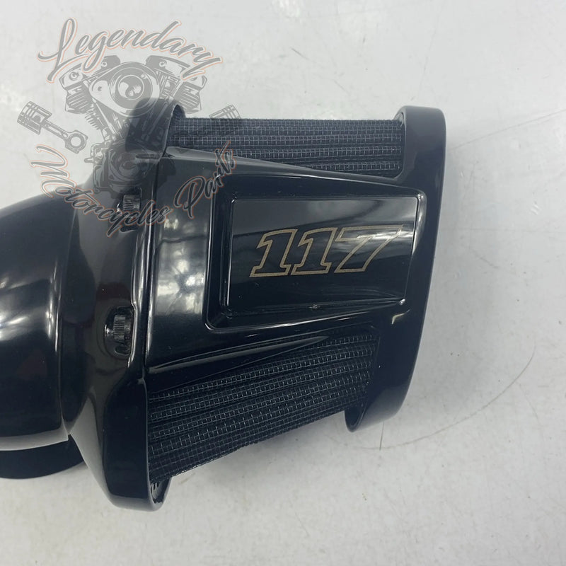 Filtro de aire corneta 177 OEM 29000330