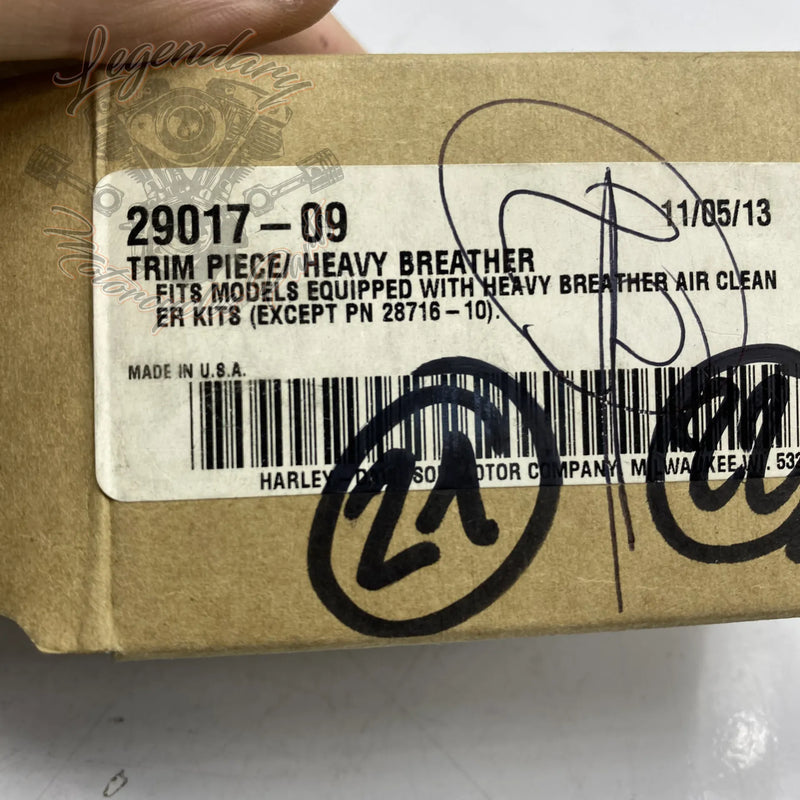 Insert de filtre à air Heavy Breather Screamin’ Eagle OEM 29017-09