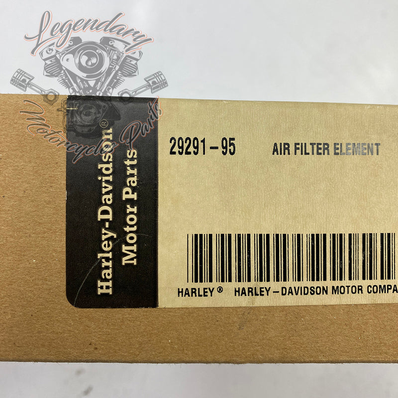 Elemento filtrante OEM 29291-95