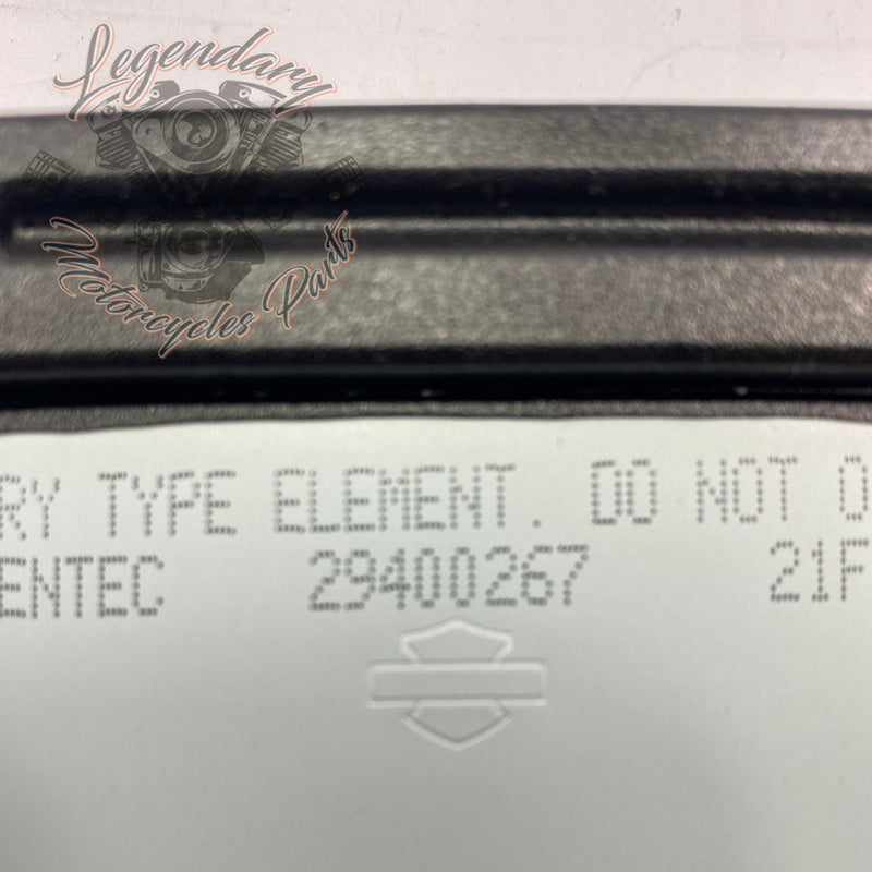 Filter element OEM 29400267