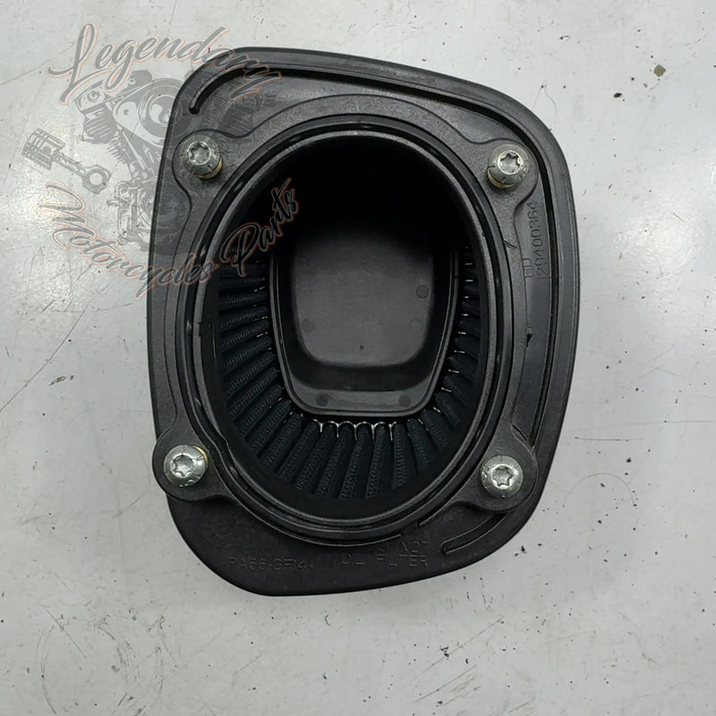 Elemento filtrante OEM 29400364