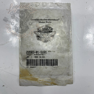 Junta de soporte del filtro de aire OEM 29583-01