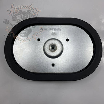 Elemento de filtro de aire OEM 29670-09