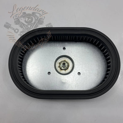 Elemento de filtro de aire OEM 29670-09
