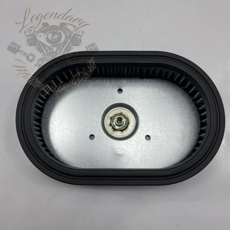Elemento do filtro de ar OEM 29670-09 – Legendary Parts