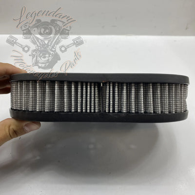 Elemento de filtro de aire OEM 29670-09
