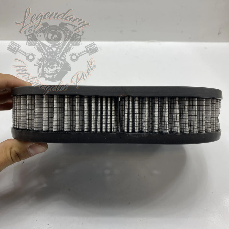 Elemento de filtro de aire OEM 29670-09