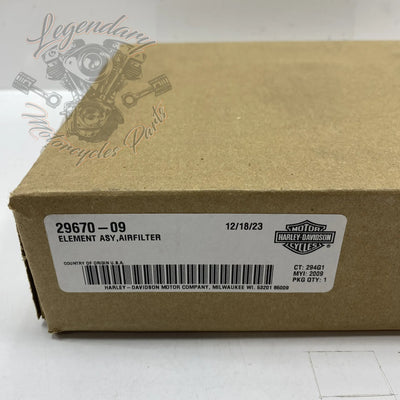 Elemento de filtro de aire OEM 29670-09