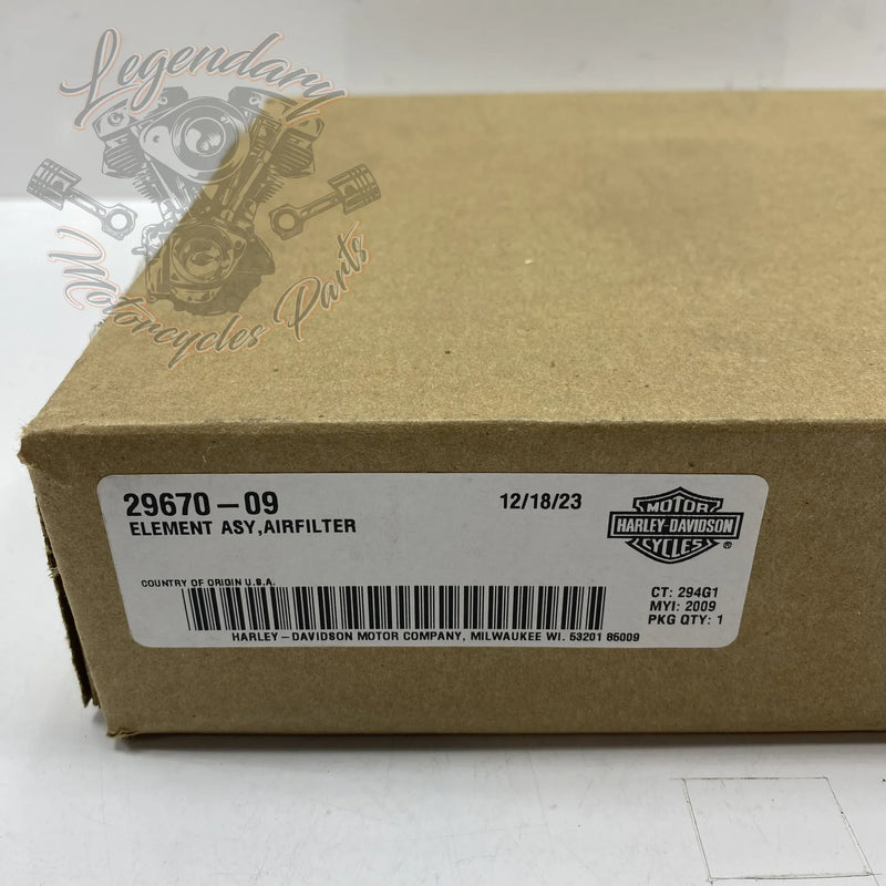 Elemento de filtro de aire OEM 29670-09