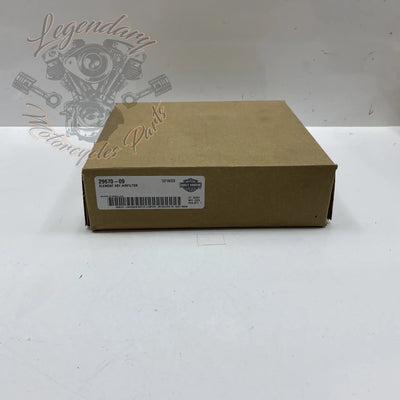 Elemento de filtro de aire OEM 29670-09