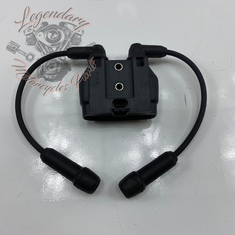 Spark Plug Coil and Wires OEM 31600166