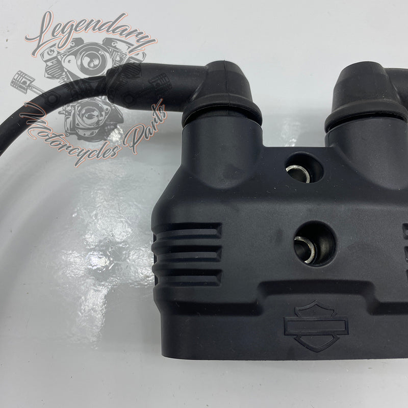 Bobina e fili delle candele OEM 31600166