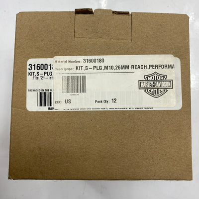 Candele Screamin’ Eagle OEM 31600180