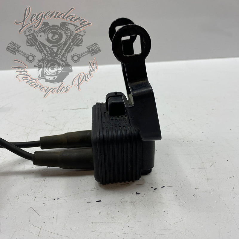 Spark plug coil and wires OEM 31655-99