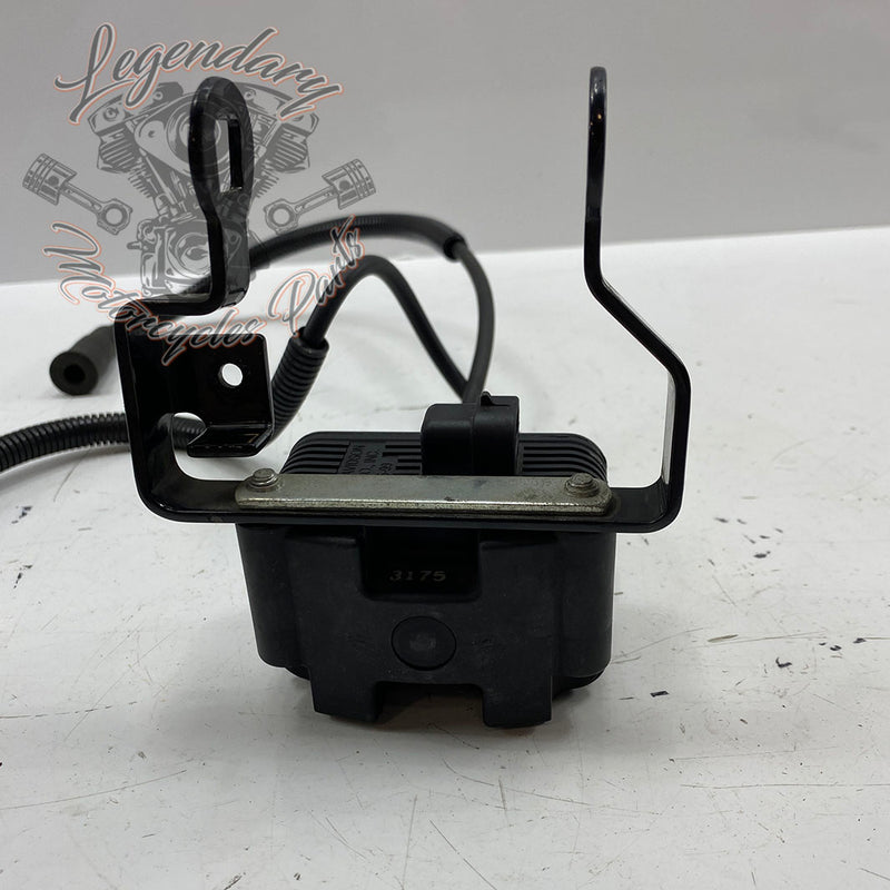 Spark plug coil and wires OEM 31655-99