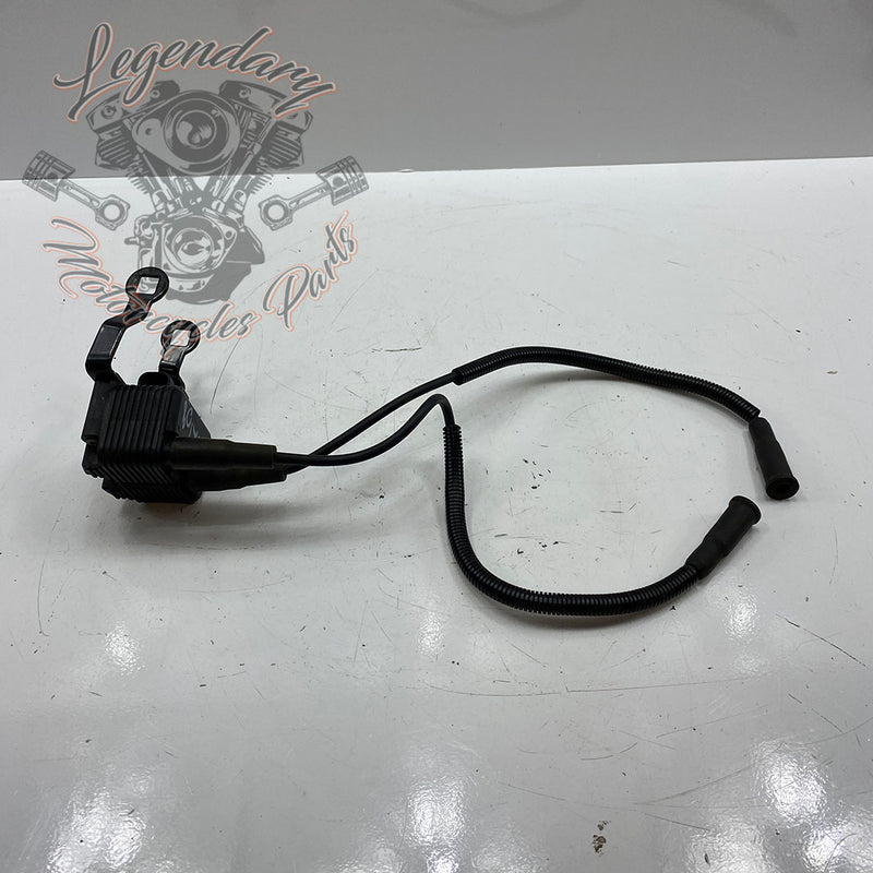 Spark plug coil and wires OEM 31655-99