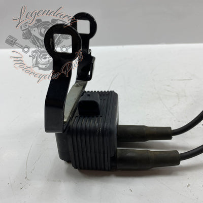 Spark plug coil and wires OEM 31655-99