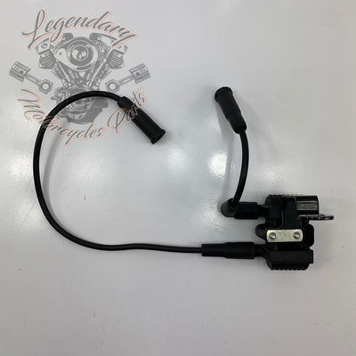 Spark plug coil and wires OEM 31656-07