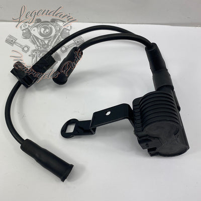 Spark plug coil and wires OEM 31656-07