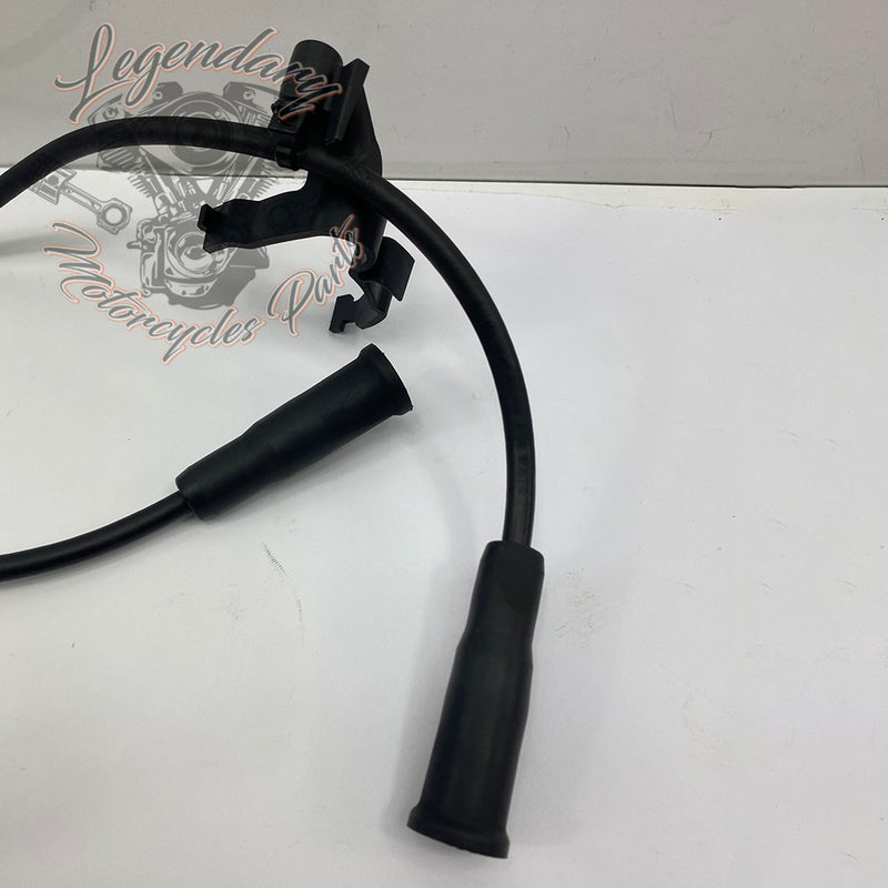 Spark plug coil and wires OEM 31656-07