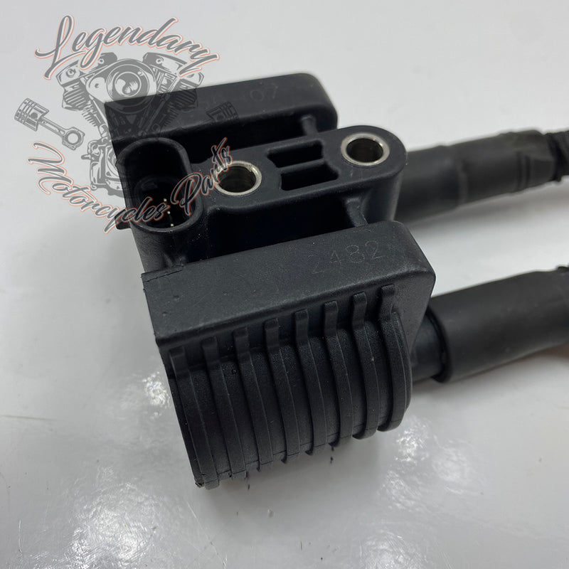 Spark plug coil and wires OEM 31656-07