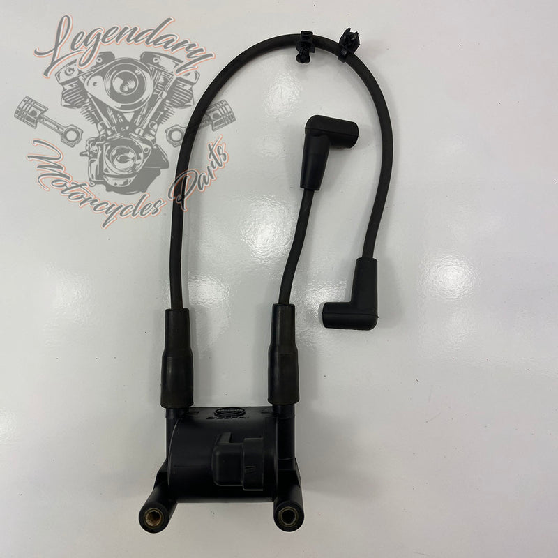 OEM 31696-07A bobine en bougiekabels