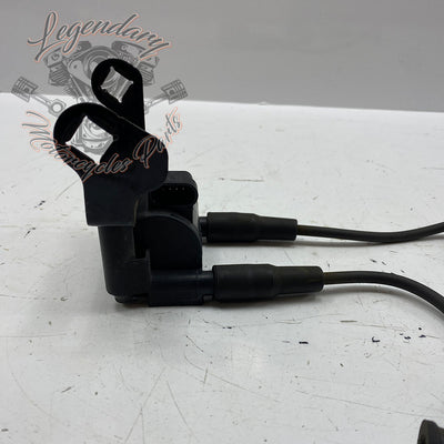 Spark plug coil and wires OEM 31696-07A