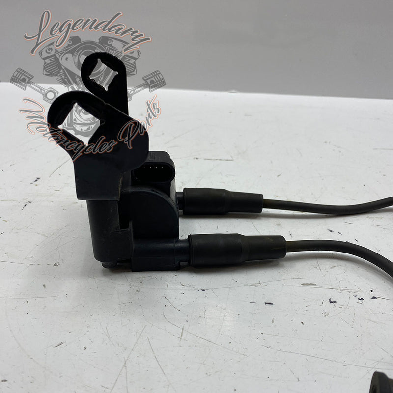 Bobina y cables de bujías OEM 31696-07A