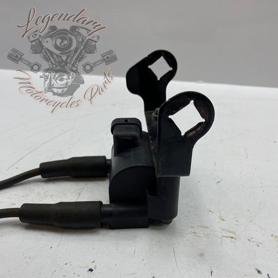 Bobina y cables de bujías OEM 31696-07A