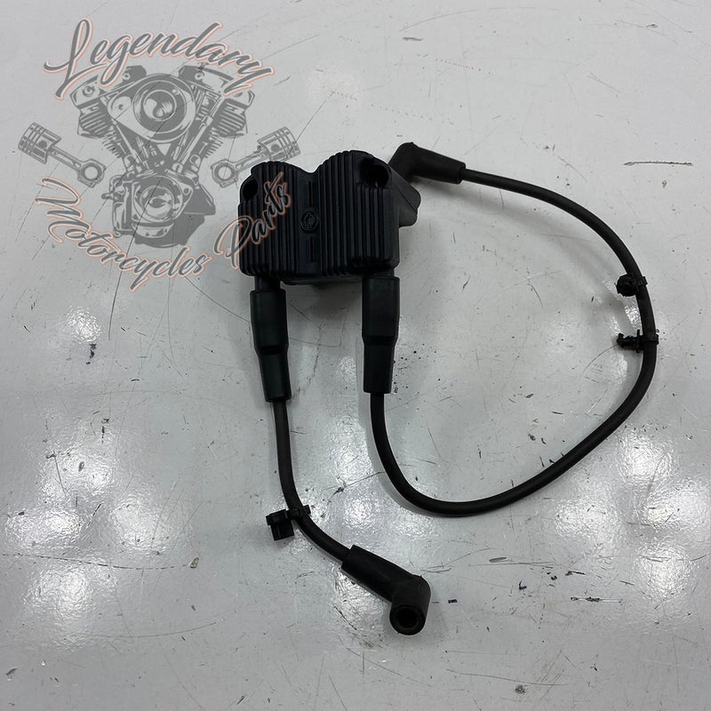 Spark plug coil and wires OEM 31743-01