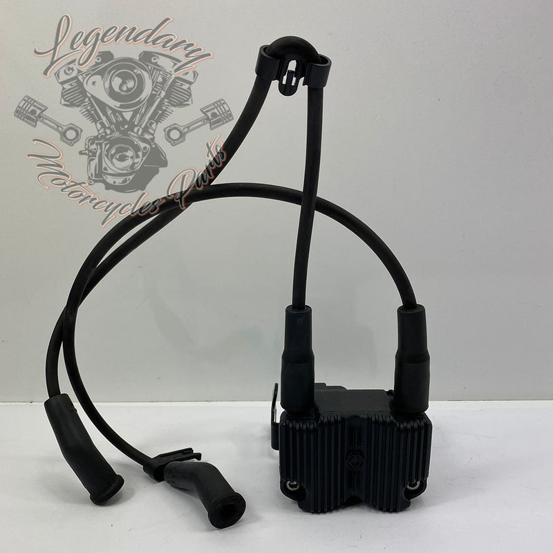Bobine en bougiekabels OEM 31743-01