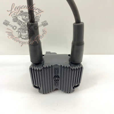 Bobine en bougiekabels OEM 31743-01